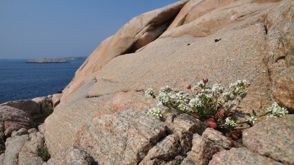 Bohuslän-46