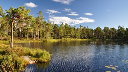 Dalsland-72