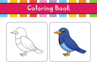  Stunning Blue-Throated Hillstar Bird Representation