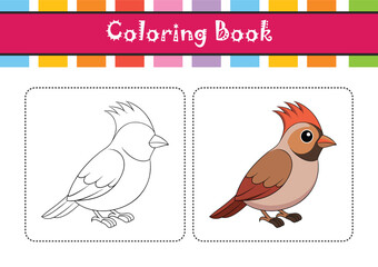  Stunning Bohemian Waxwing Design