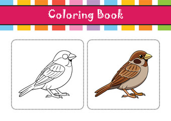  Realistic Brewer's Sparrow Bird Illustration