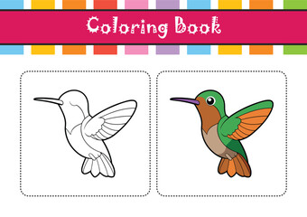  Dynamic Buff-Bellied Hummingbird Bird Artwork