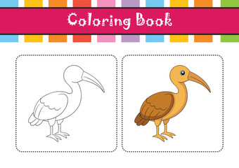  Stunning Buff-Necked Ibis Bird Representation