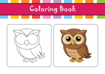  Stunning Burrowing Owl Bird Representation