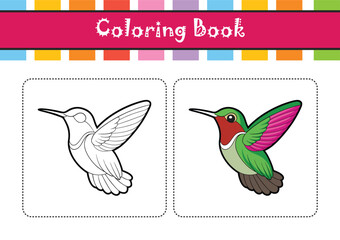  Vivid Calliope Hummingbird Bird Design