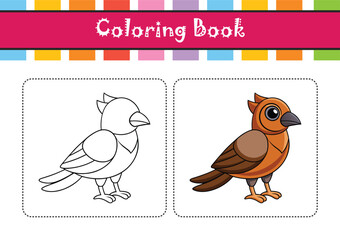  Vibrant Cape Rockjumper Bird Design