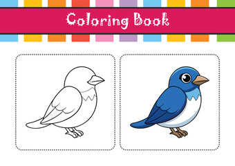  Elegant Cerulean Warbler Bird Vector