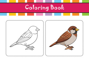  Dynamic Chipping Sparrow Bird Artwork