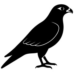 falcon bird black silhouette vector, Simple silhouette Design vector icon with white background. Wild bird