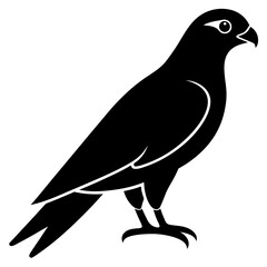 falcon bird black silhouette vector, Simple silhouette Design vector icon with white background. Wild bird