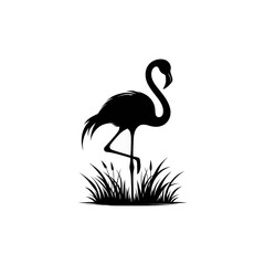 flamingo vector illustration