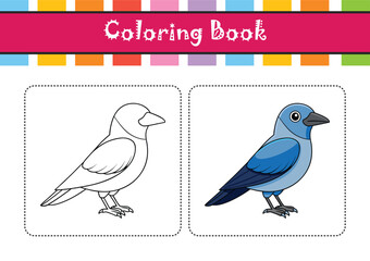  Clark's Nutcracker Bird Colorful Artwork