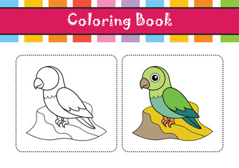  Creative Cliff Parakeet Bird Artwork