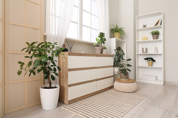 Interior of stylish room with houseplants, window, shelving unit and chest of drawers