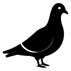 pigeon bird black silhouette vector, Simple silhouette Design vector icon with white background. Wild bird