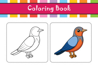  Common Rock Thrush Bird Colorful Artwork