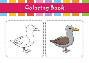  Stunning Cory's Shearwater Nature Illustration