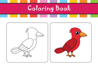  Vibrant Crimson Seedcracker Bird Illustration