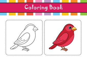  Crimson Finch Bird Realistic Illustration