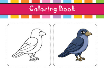 Elegant Daurian Jackdaw Bird Vector
