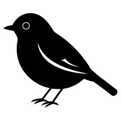 robin bird black silhouette vector, Simple silhouette Design vector icon with white background. Wild bird