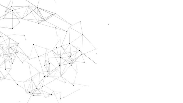 line connect network animation on white background. Line technology data connection and business background	