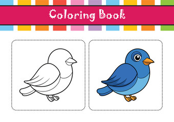  Realistic Eastern Bluebird Bird Illustration