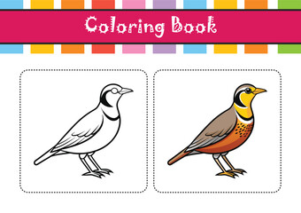  Realistic Eastern Meadowlark Bird Illustration
