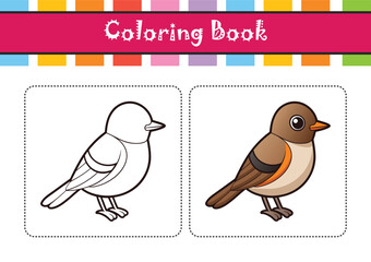  Eastern Phoebe Bird Colorful Artwork