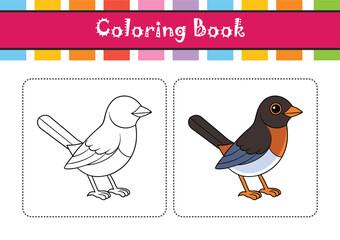  Eastern Towhee Bird Colorful Artwork