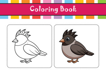  Eurasian Blackcap Bird Colorful Artwork