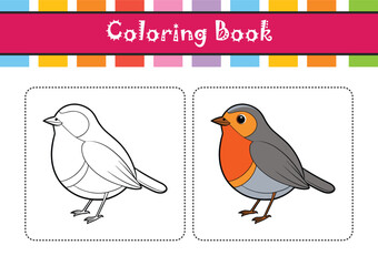  Vivid European Robin Bird Design