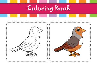  Fieldfare Bird Realistic Illustration