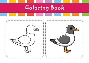  Vivid Franklin's Gull Bird Design