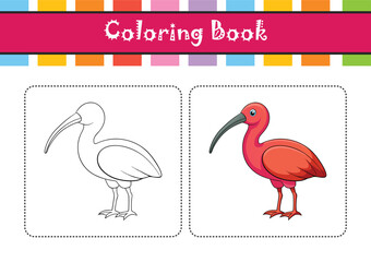  Glossy Ibis Bird Realistic Illustration