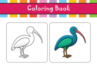  Vivid Glossy Ibis Bird Design