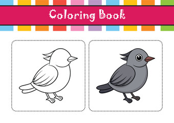  Elegant Gray Catbird Bird Illustration