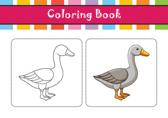  Vivid Greater White-Fronted Goose Design