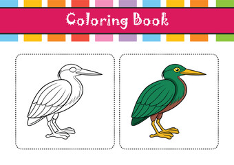 Obraz premium Green Heron Bird Realistic Art