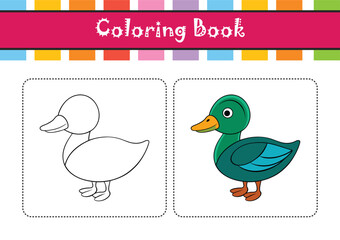  Green-Winged Teal Bird Realistic Art