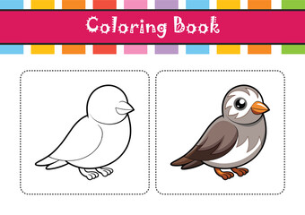  Realistic Hoary Redpoll Bird Illustration