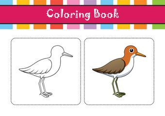  Least Sandpiper Bird Colorful Illustration