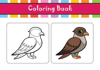  Elegant Lesser Nighthawk Bird Vector