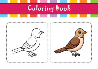  Elegant Mangrove Cuckoo Bird Vector