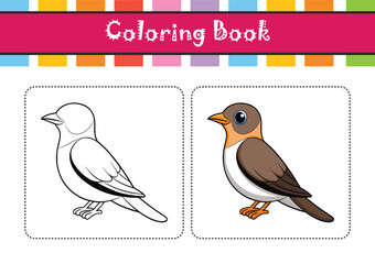  Charming Mangrove Cuckoo Bird Artwork