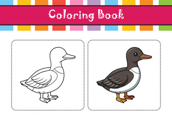  Charming Marbled Murrelet Bird Artwork