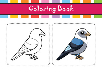  Northern Shrike Bird Colorful Artwork