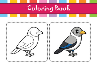  Vivid Northern Shrike Bird Design