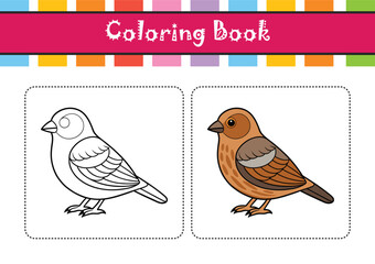  Vivid Pine Siskin Bird Design