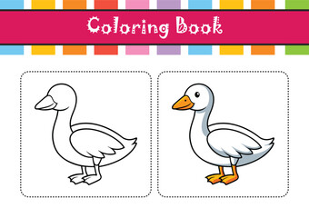  Snow Goose Bird Colorful Illustration